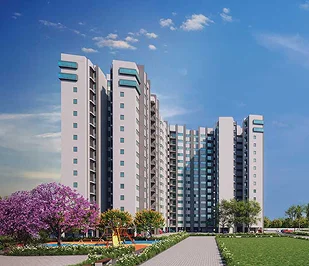 Embassy Projects
