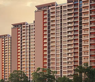 Embassy Projects